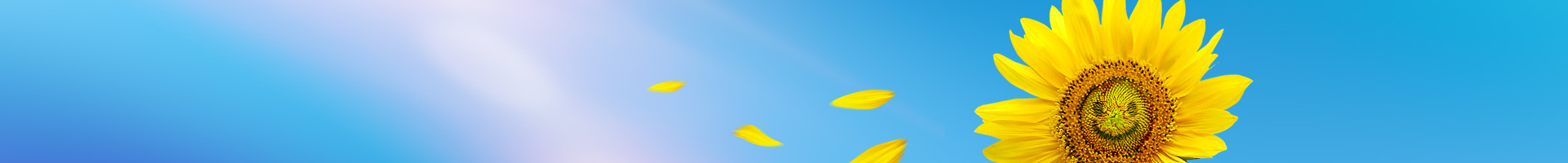 1907640853115506688