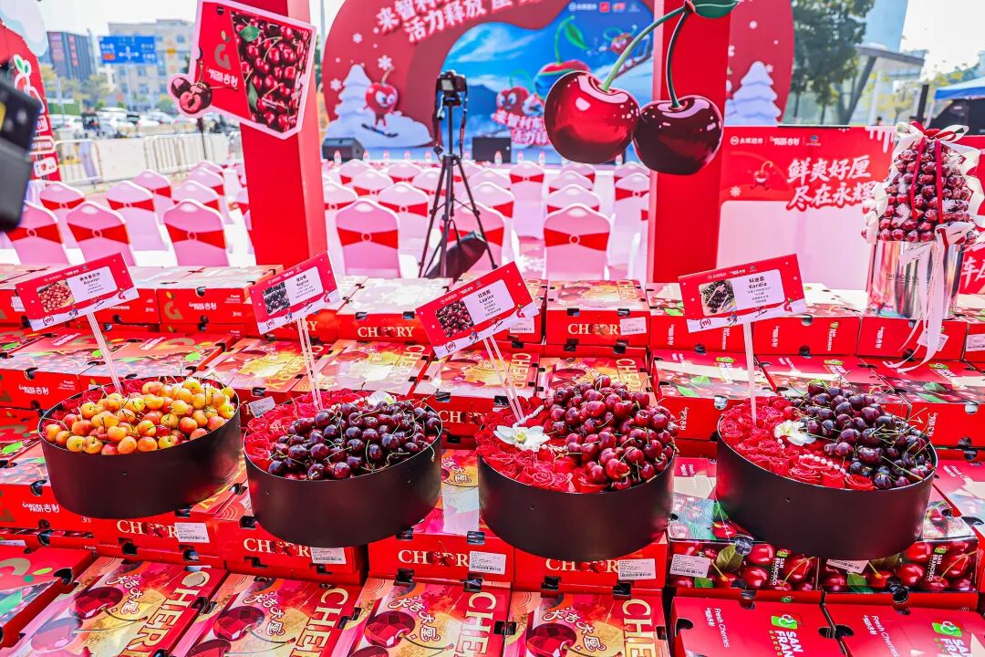 不凡成就非凡 · 卓越之路