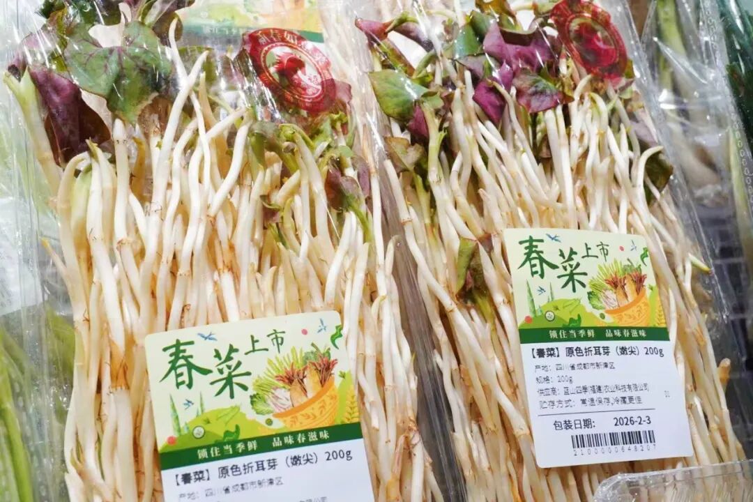 不凡成就非凡 · 卓越之路
