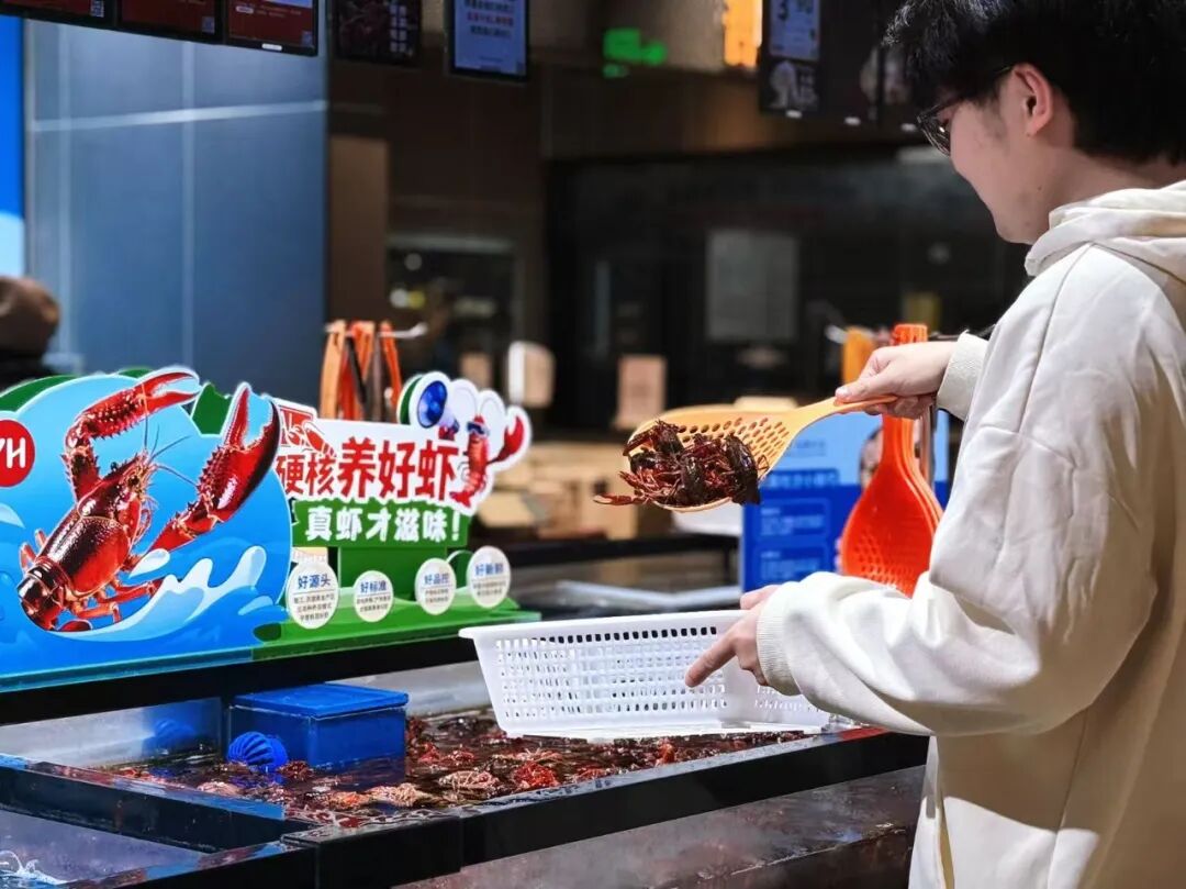 不凡成就非凡 · 卓越之路