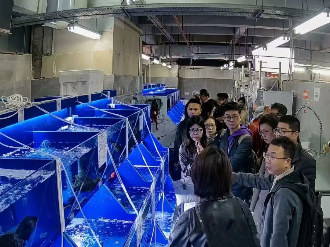 不凡成就非凡 · 卓越之路