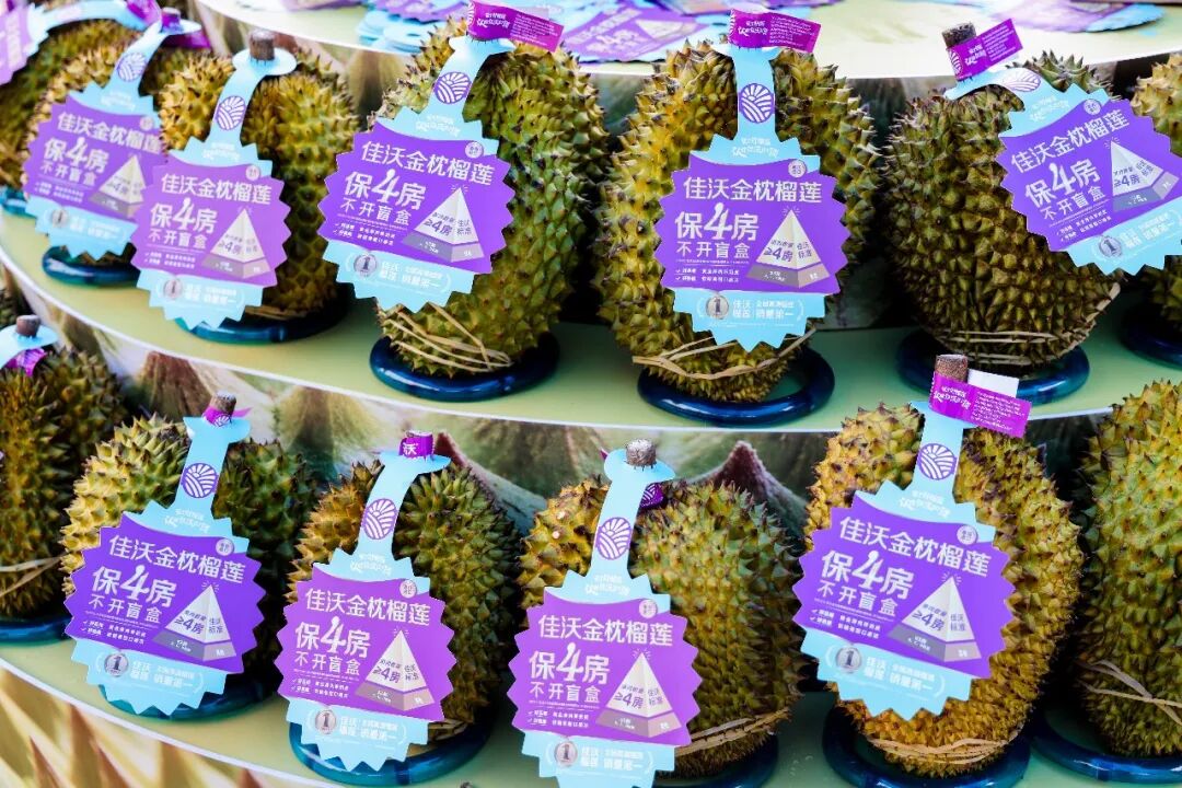 不凡成就非凡 · 卓越之路
