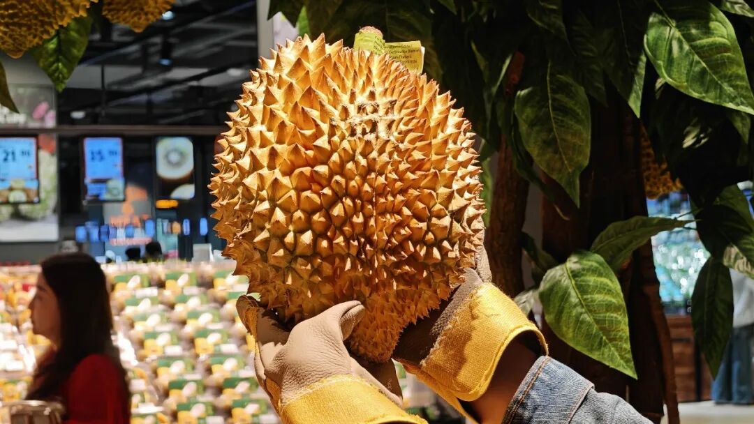 不凡成就非凡 · 卓越之路