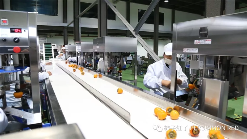不凡成就非凡 · 卓越之路