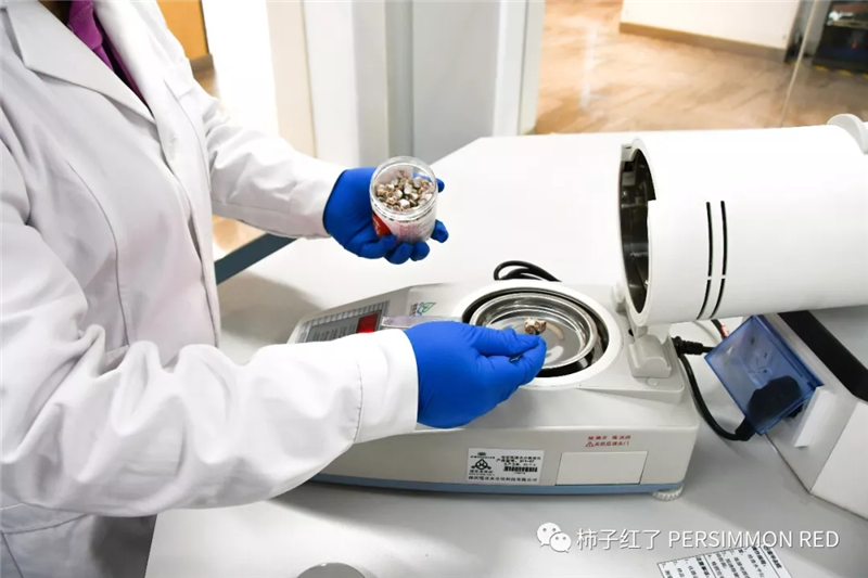 不凡成就非凡 · 卓越之路