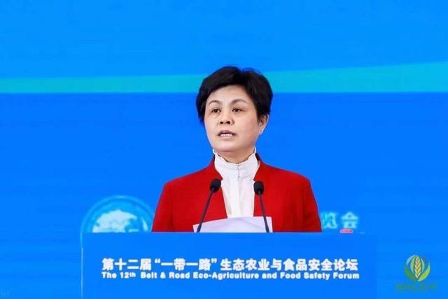 不凡成就非凡 · 卓越之路