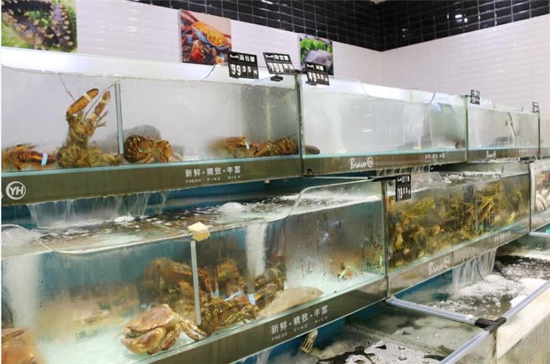 不凡成就非凡 · 卓越之路