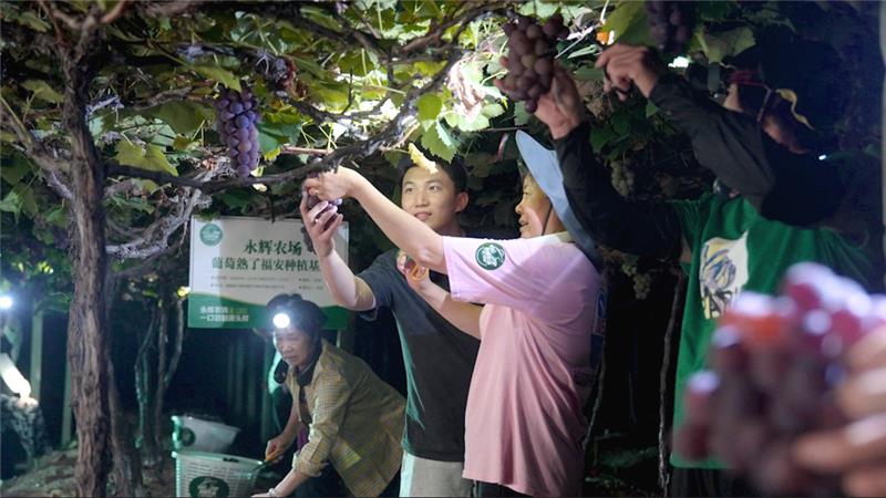 不凡成就非凡 · 卓越之路