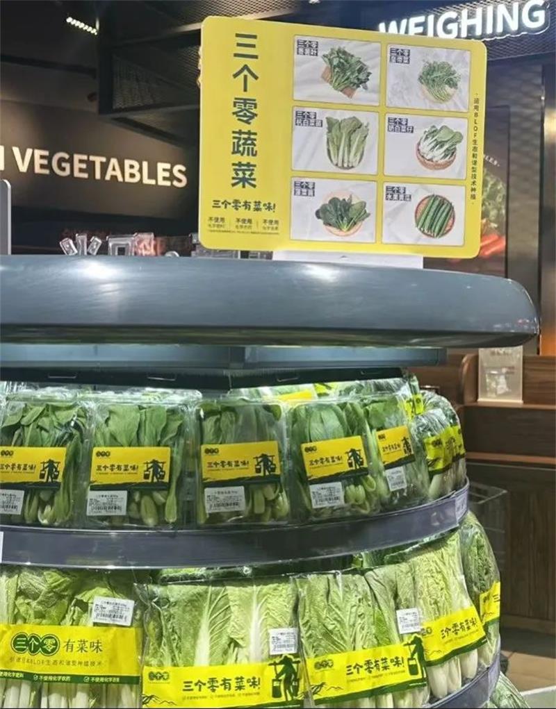 不凡成就非凡 · 卓越之路