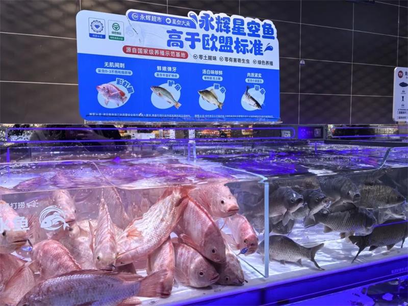 不凡成就非凡 · 卓越之路