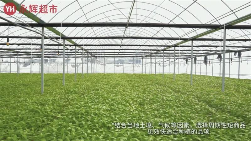 不凡成就非凡 · 卓越之路